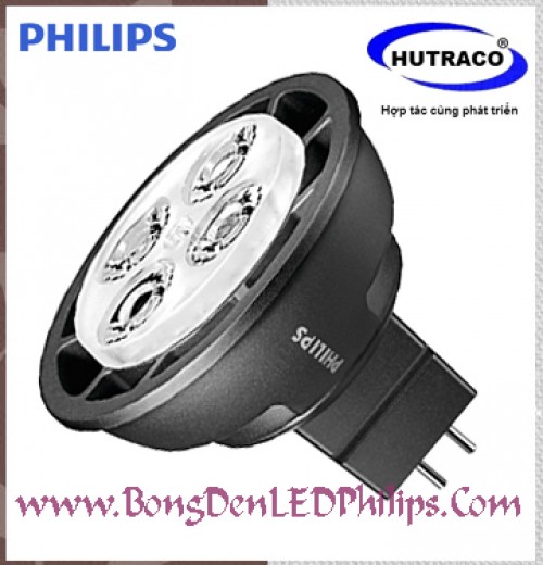 Bóng đèn LED Philips Master 6.5-50W MR16 2700K/3000K 12V 24D/36D