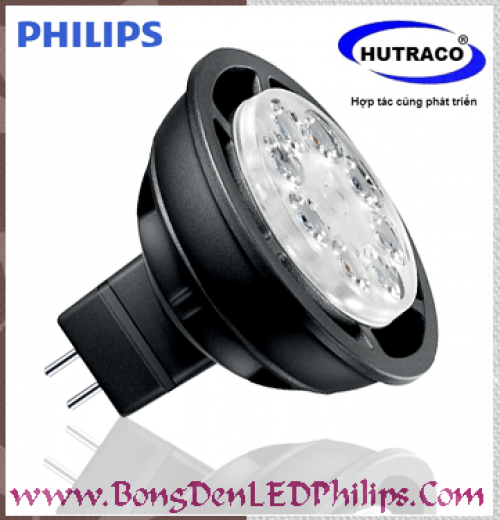 Bóng đèn Philips Master LED MR16 5.5-35W 2700K/3000K 12V 24D/36D